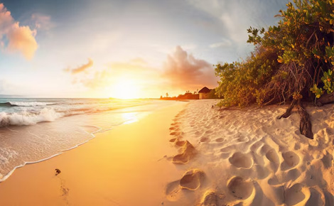 Beach Getaway